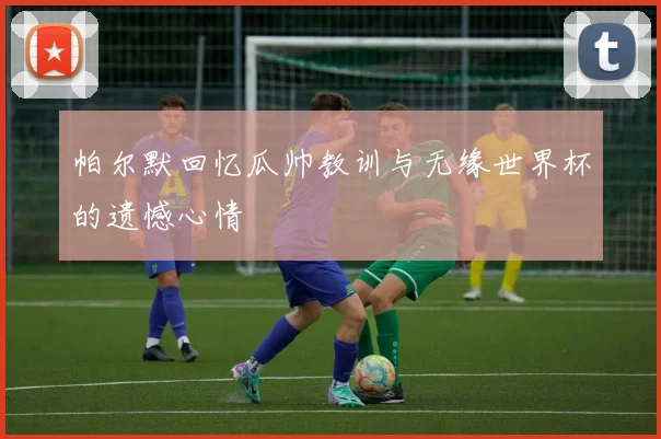 帕尔默回忆瓜帅教训与无缘世界杯的遗憾心情